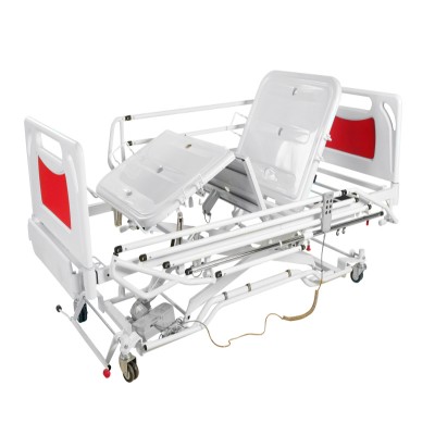 2019 OEM Cheap Price Side Rail Detachable Full Electric Bed for Hospital Recovery and Home Care